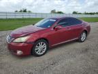 LEXUS ES 350 photo