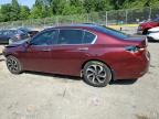 HONDA ACCORD EXL photo