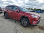 TOYOTA RAV4 XLE P photo