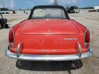 FIAT SPIDER photo