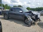 TOYOTA TACOMA DOU photo