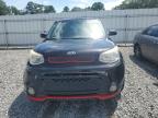 KIA SOUL + photo