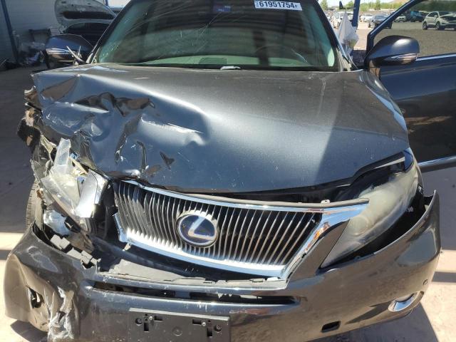 JTJBC1BA3A2012920 2010 Lexus Rx 450