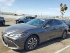 2023 LEXUS ES 350 BAS - 58ACZ1B12PU146955