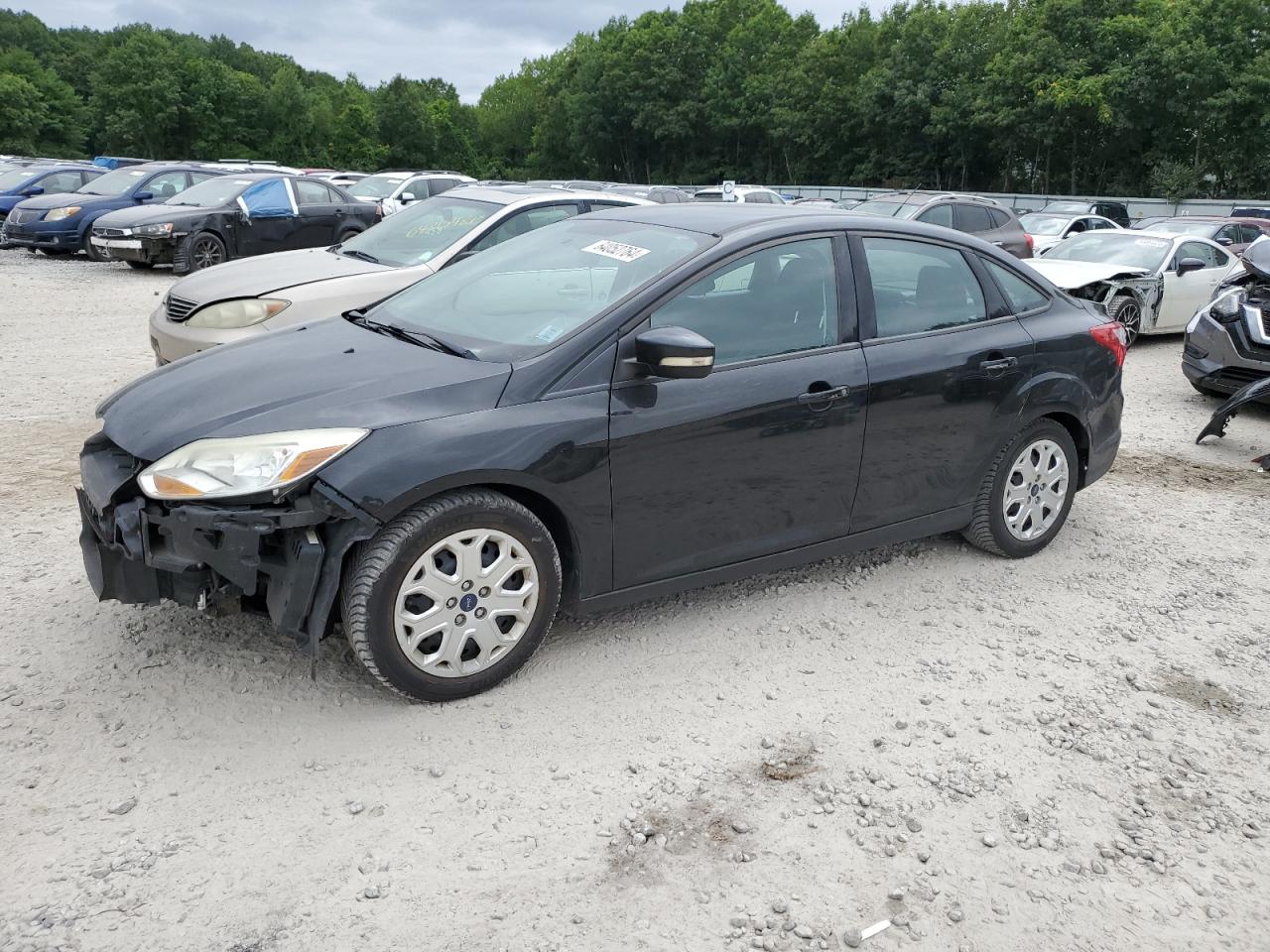 Lot #2736040945 2014 FORD FOCUS SE