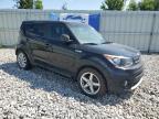 KIA SOUL + photo