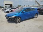 HYUNDAI ELANTRA SE photo