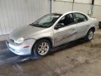 2000 Dodge Neon Base VIN: 1B3ES46C6YD781542 Lot: 63096874