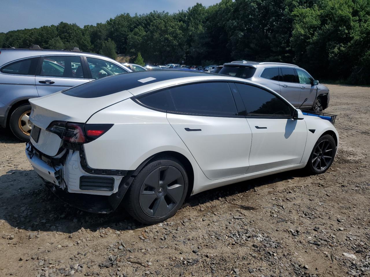 2023 Tesla Model 3 vin: 5YJ3E1EA6PF566777