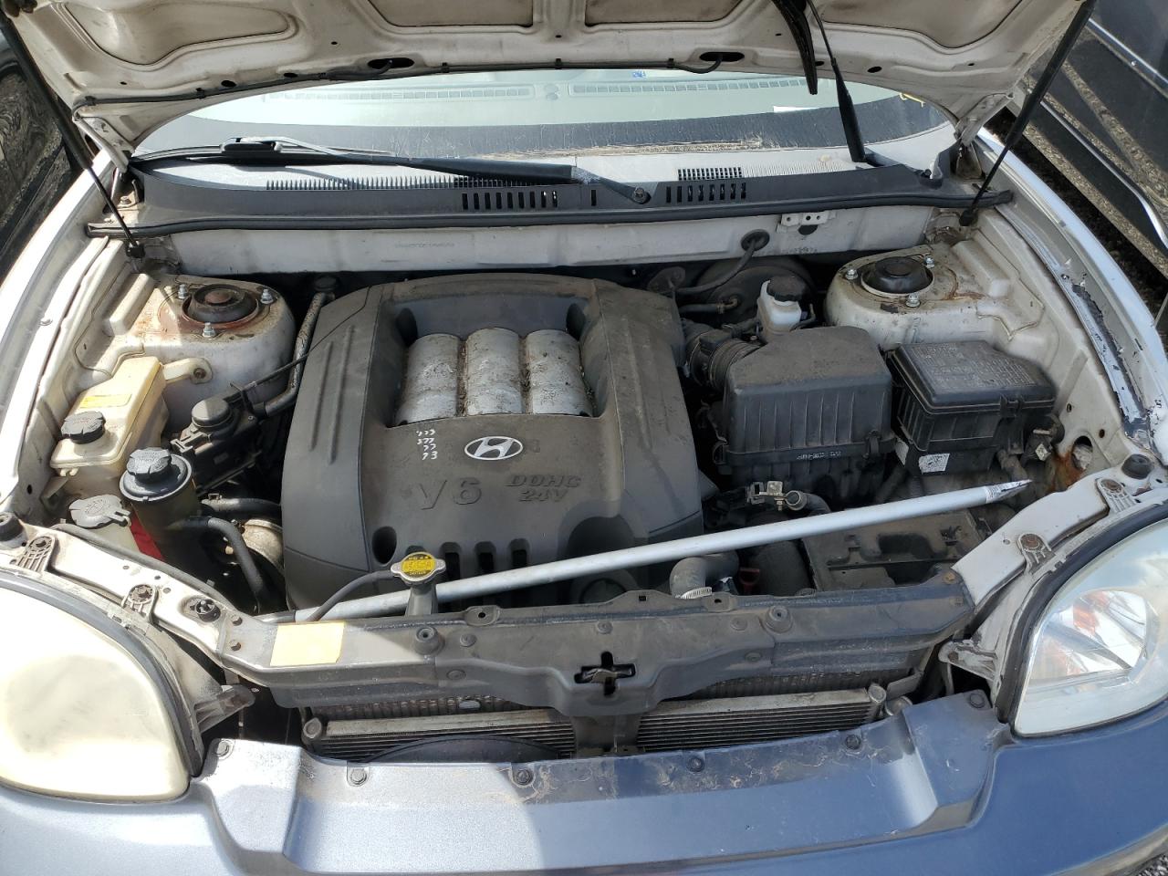 KM8SC73D53U404959 2003 Hyundai Santa Fe Gls