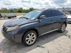 LEXUS RX350 photo