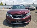 HONDA ACCORD EXL photo