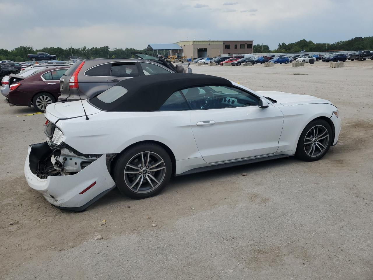 Lot #2809544347 2016 FORD MUSTANG