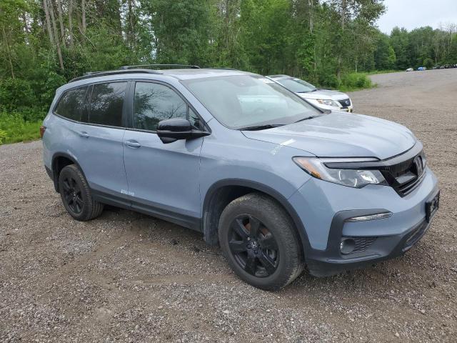 2022 HONDA PILOT TRAI 5FNYF6H8XNB501730