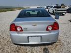 CHEVROLET MALIBU 1LT photo