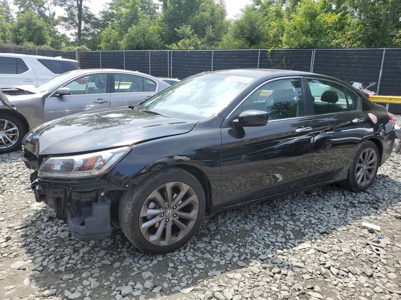 Lot #2972318521 2014 HONDA ACCORD SPO