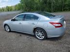 NISSAN MAXIMA S photo