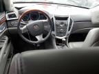 CADILLAC SRX PREMIU photo