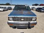 CHEVROLET BLAZER S10 photo