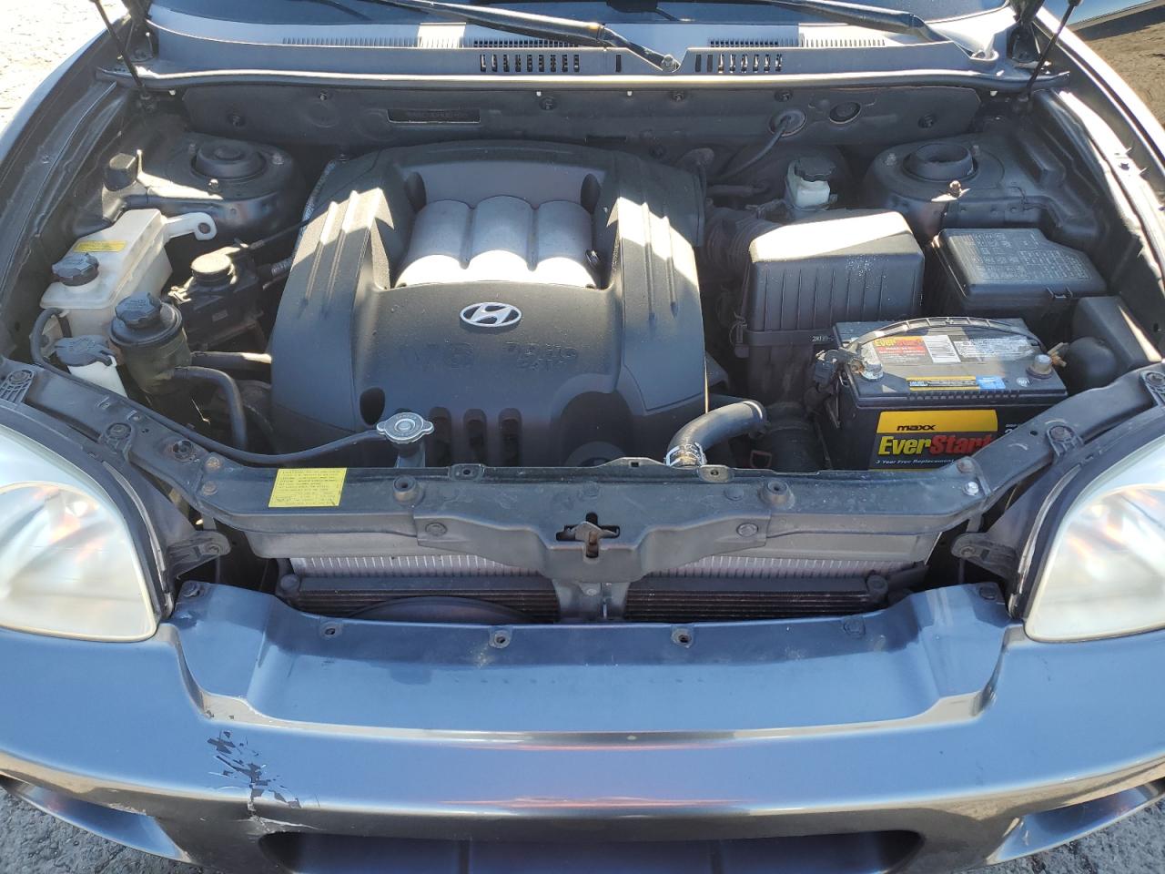 KM8SC73DX4U824587 2004 Hyundai Santa Fe Gls