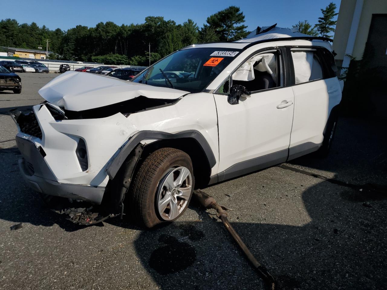 Lot #2819089179 2019 TOYOTA RAV4 XLE