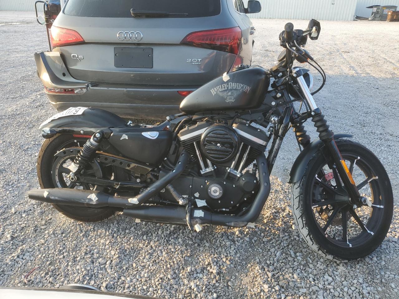 Harley Davidson XL883N / IRON 883 2017 