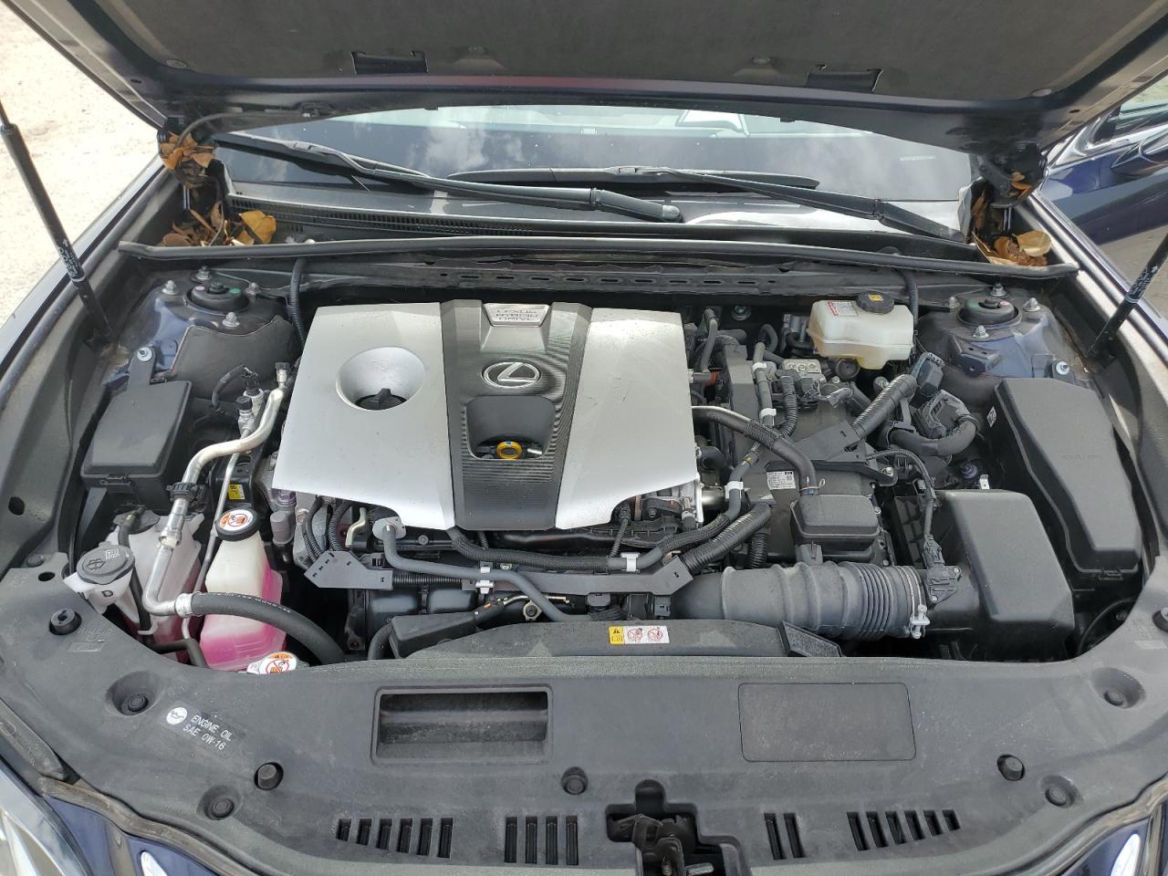 JTHB21B10K2032385 2019 Lexus Es 300H