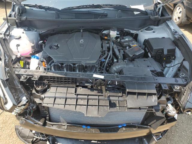 2024 KIA SPORTAGE X - 5XYK6CDF1RG214073