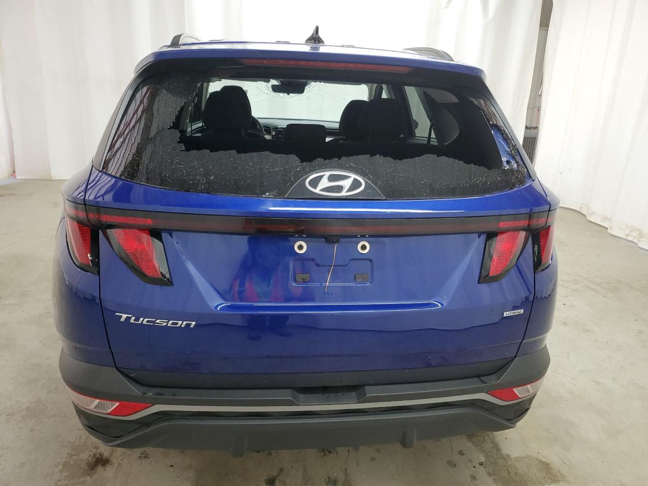 5NMJBCDE0RH329302 2024 Hyundai Tucson Sel