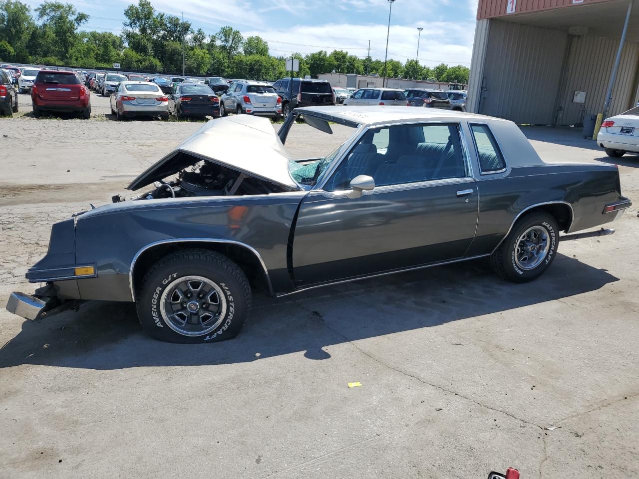 Lot #2974641566 1983 OLDSMOBILE CUTLASS SU