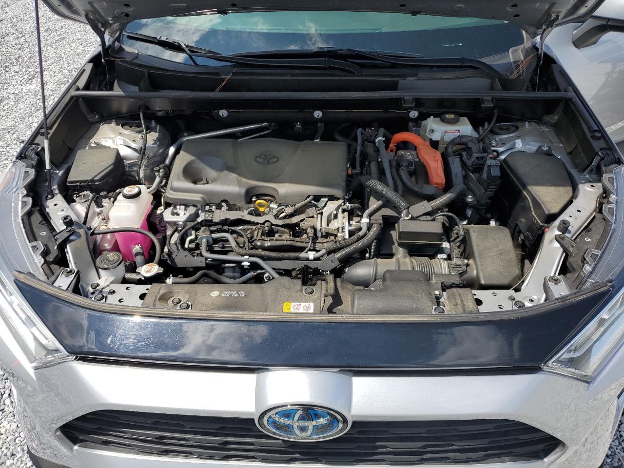 JTMRWRFV9MJ053633 2021 Toyota Rav4 Xle