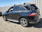 MERCEDES-BENZ ML 350 photo