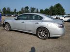 NISSAN MAXIMA S photo