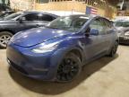 2022 TESLA MODEL Y - 7SAYGDEE8NF455541