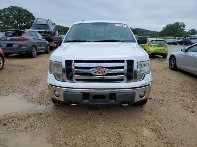 2010 Ford F150 Supercrew VIN: 1FTFW1EV2AFD30806 Lot: 61539654