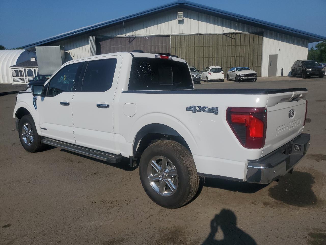 Lot #2715309432 2024 FORD F150 XLT