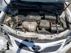 TOYOTA CAMRY BASE photo