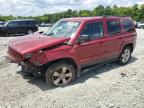 2015 JEEP PATRIOT LA - 1C4NJRFB0FD339262