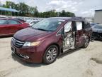 HONDA ODYSSEY TO photo