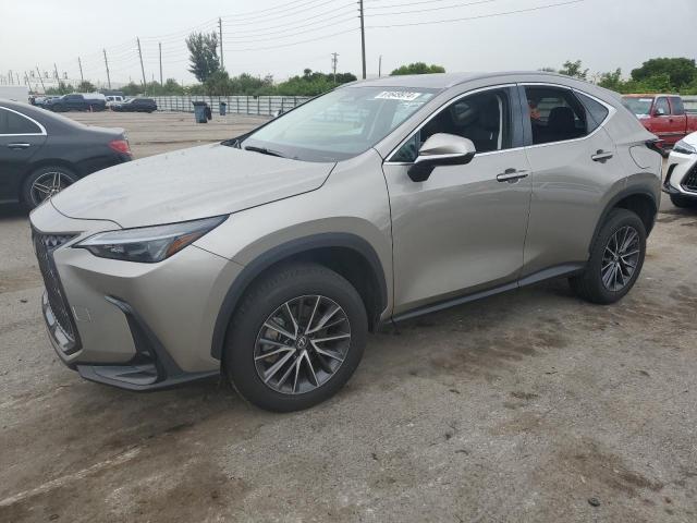 2024 LEXUS NX 250 BAS #2991687055