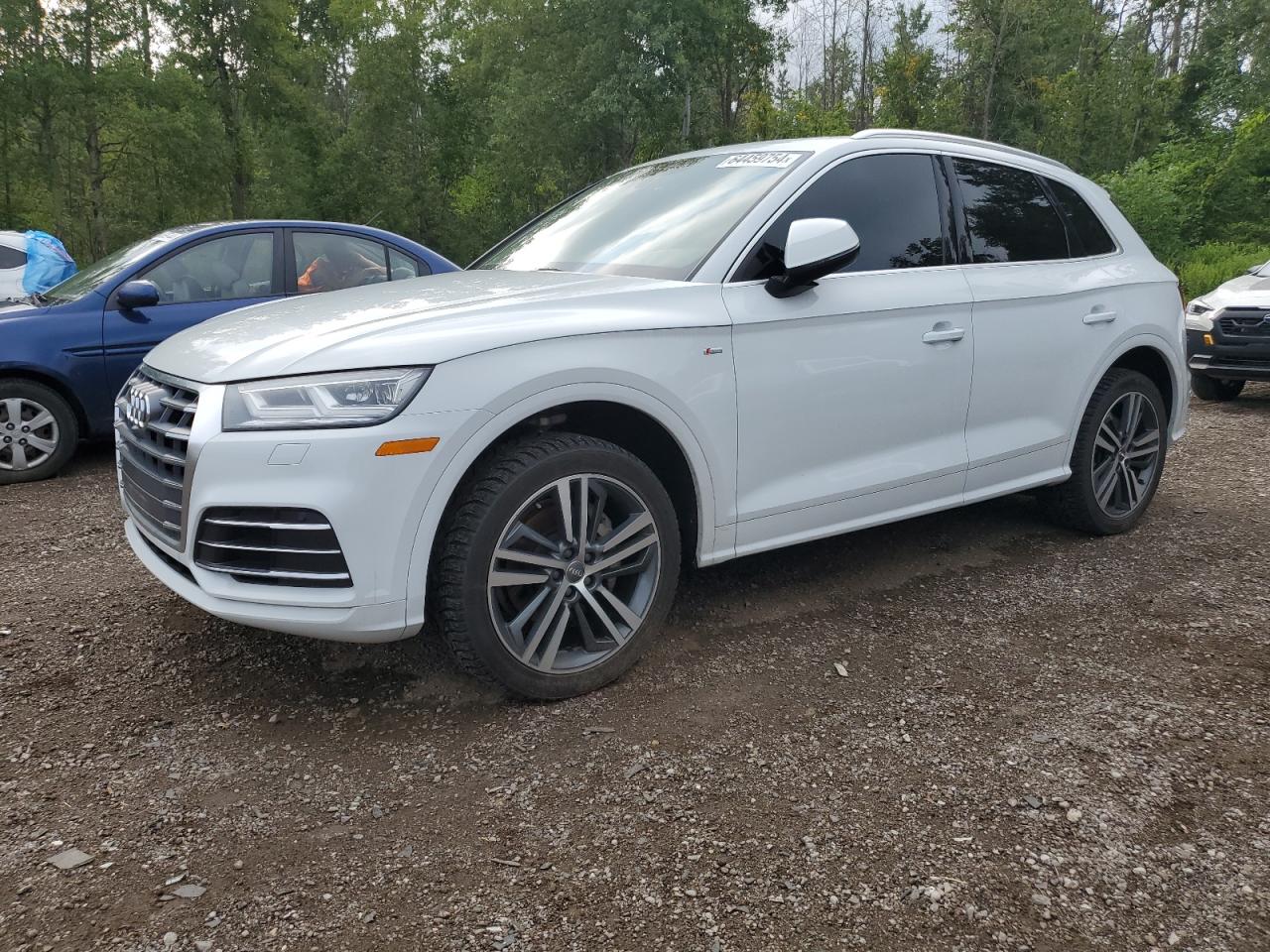 WA1FNAFY5K2047881 AUDI Q5 TECHNIK 2019
