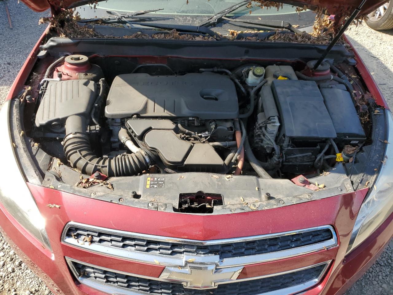 1G11D5RRXDF101372 2013 Chevrolet Malibu 1Lt