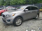 2017 KIA SORENTO LX - 5XYPG4A35HG211534