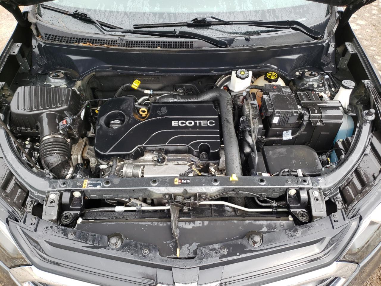 2GNAXUEV2K6228076 2019 Chevrolet Equinox Lt