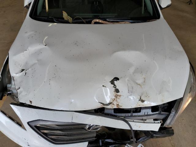 2016 HYUNDAI SONATA SPO - 5NPE34AF3GH421845