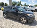 KIA SOUL photo