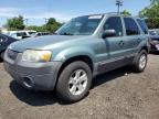 2006 Ford Escape Xlt VIN: 1FMYU931X6KA16859 Lot: 62467394