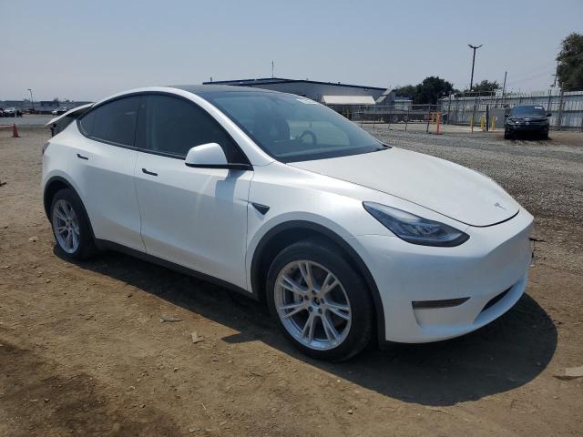 2023 Tesla Model Y VIN: 7SAYGDEEXPA031259 Lot: 62760704