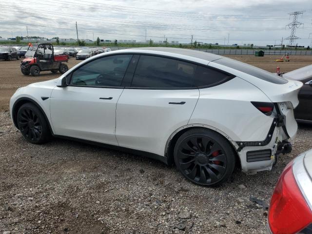 2022 TESLA MODEL Y - 7SAYGDEF6NF343099