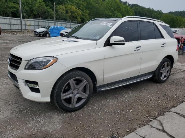 VIN 4JGDA5HB1EA411972 2014 Mercedes-Benz ML-Class, ... no.1